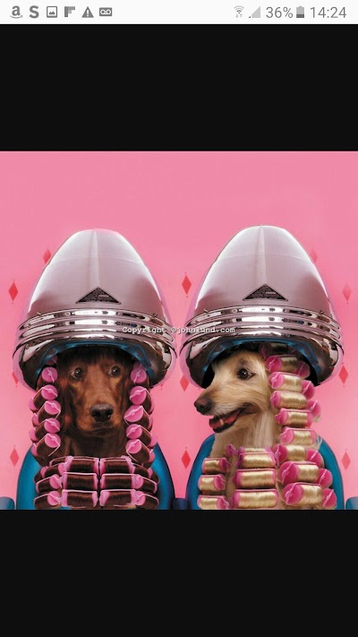 Grooming Van Image