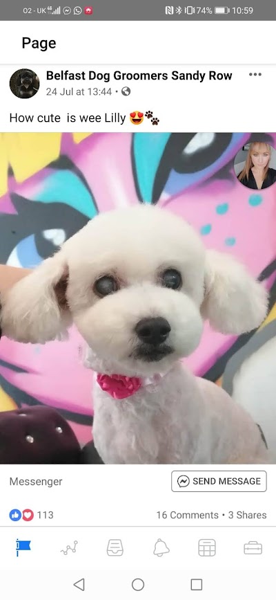 Grooming Van Image