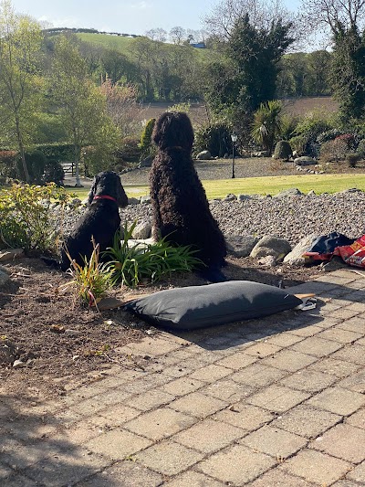 Trinity Dog Groomers
