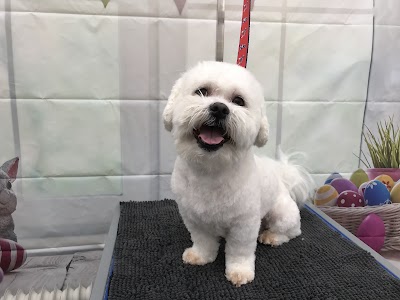 Grooming Van Image