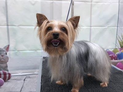 Grooming Van Image