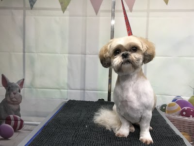 Grooming Van Image
