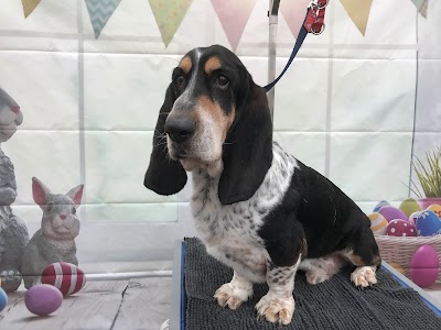 Grooming Van Image