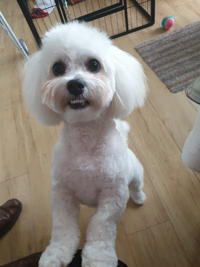 Grooming Van Image