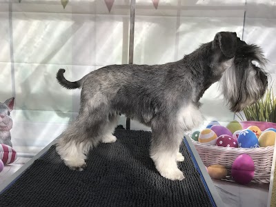 Grooming Van Image