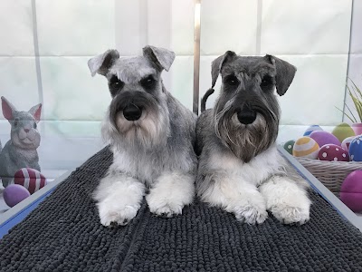 Grooming Van Image