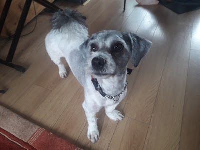 Grooming Van Image