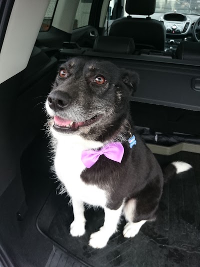 Grooming Van Image
