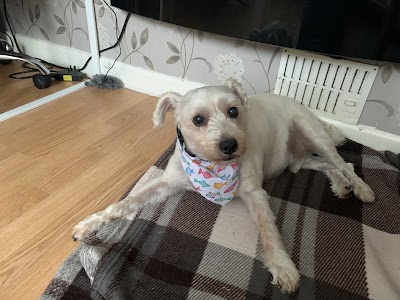 Grooming Van Image