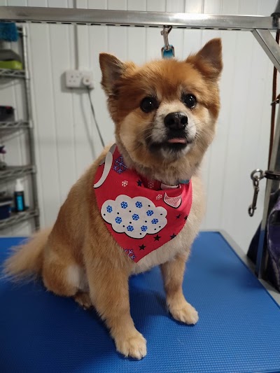 Grooming Van Image