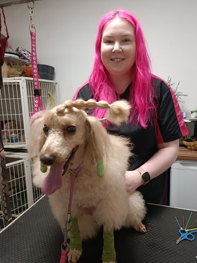 Grooming Van Image