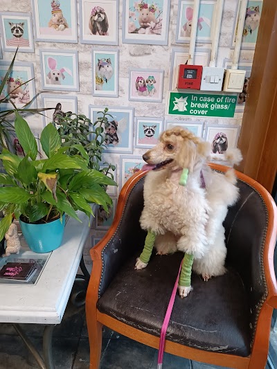 Grooming Van Image