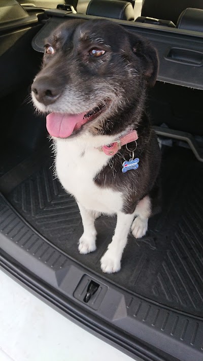 Grooming Van Image