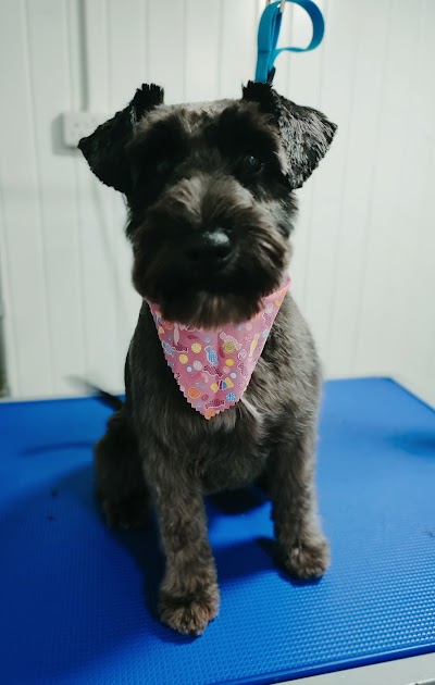 Grooming Van Image