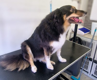 Grooming Van Image