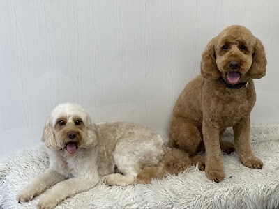Grooming Van Image