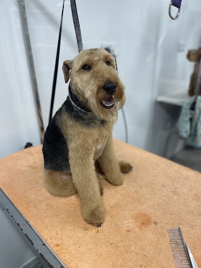 Grooming Van Image