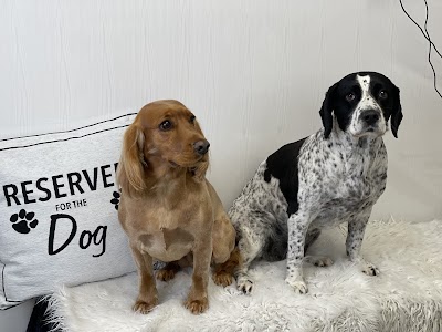 Grooming Van Image
