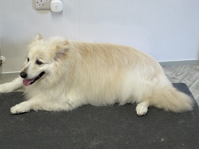 Grooming Van Image
