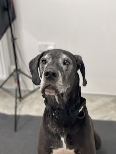 Grooming Van Image