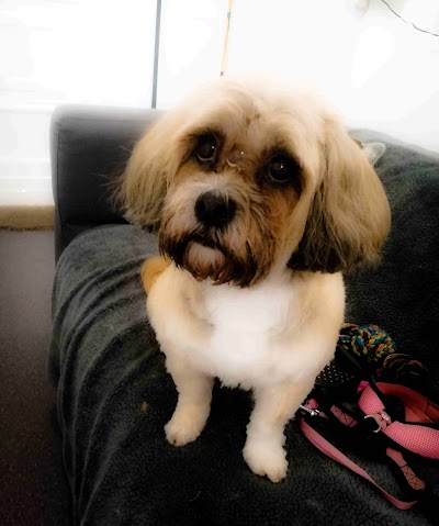 Grooming Van Image