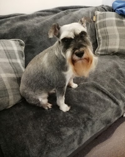 Grooming Van Image