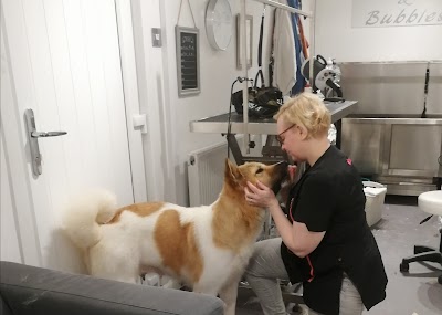 Grooming Van Image