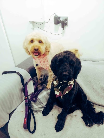 Grooming Van Image