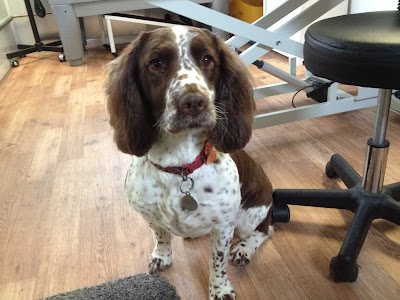 Grooming Van Image