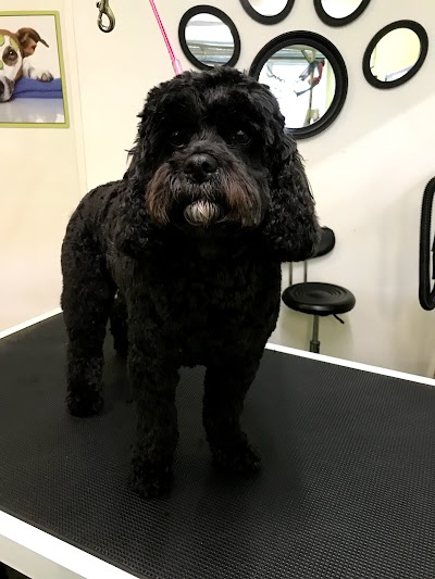 Grooming Van Image