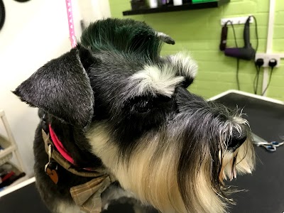 Grooming Van Image