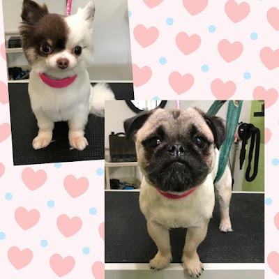 Grooming Van Image