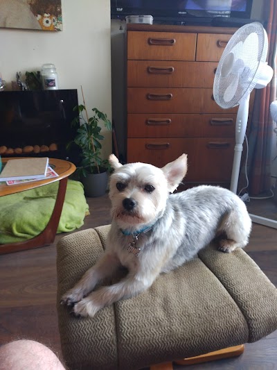 Grooming Van Image