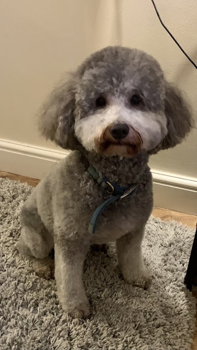 Grooming Van Image