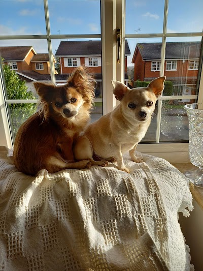 Bow Wow Dog Grooming Ltd