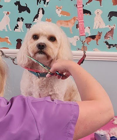Grooming Van Image