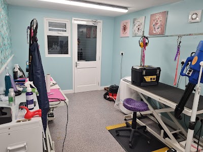 Grooming Van Image