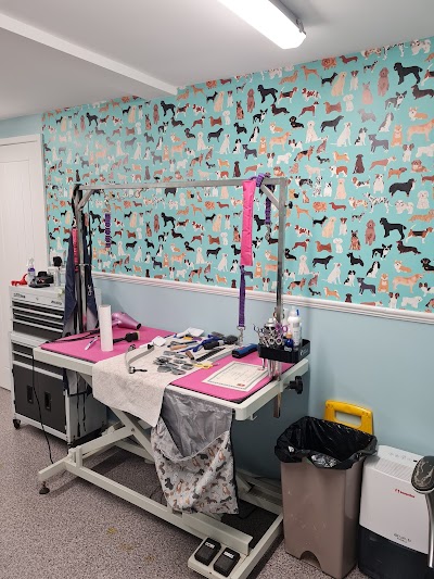 Grooming Van Image
