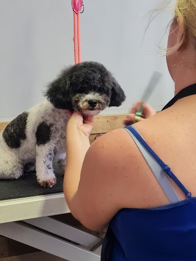 Grooming Van Image