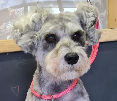 Grooming Van Image