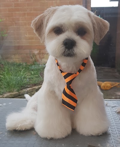 Brontay Dog Grooming