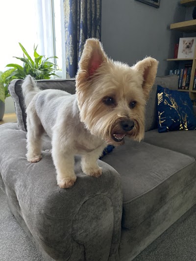 Grooming Van Image