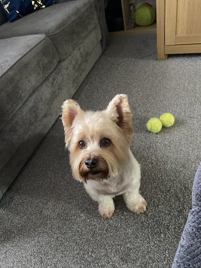 Grooming Van Image