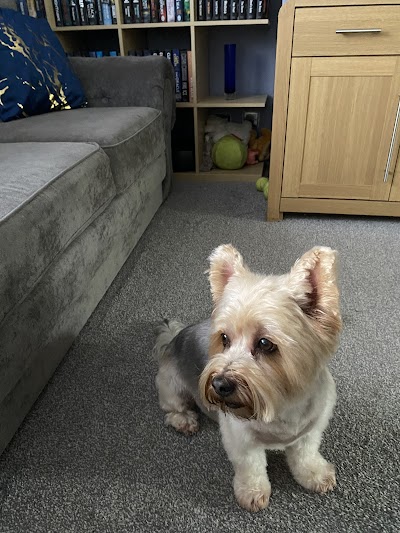 Grooming Van Image