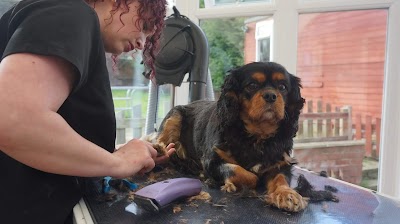 Cb Grooming