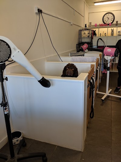Grooming Van Image