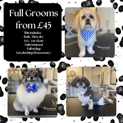 Grooming Van Image