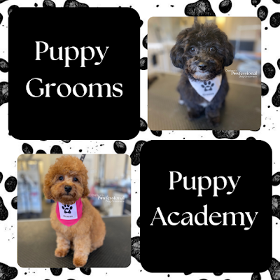 Grooming Van Image