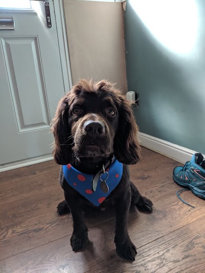 Grooming Van Image