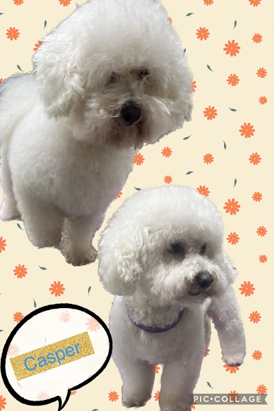Grooming Van Image